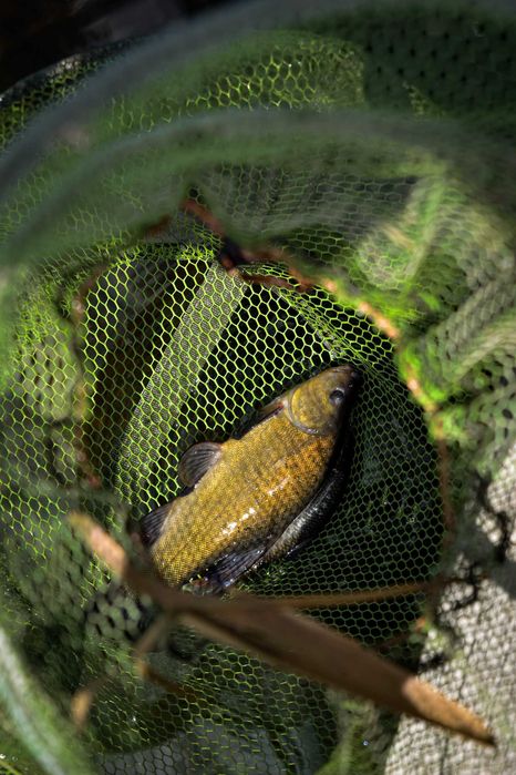 Оренда,риболовля,база на воді будинок,човен,пляж,альтанка,спуск човнів