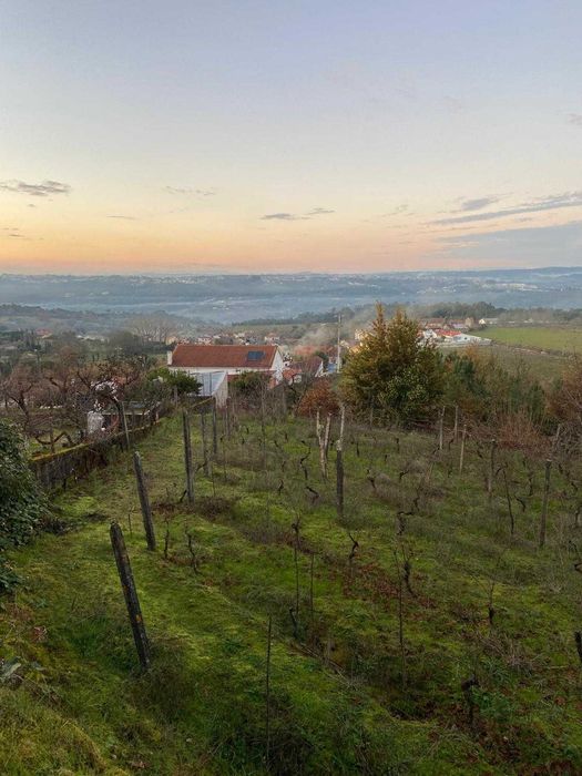 Vende-se quinta em Tibaldinho