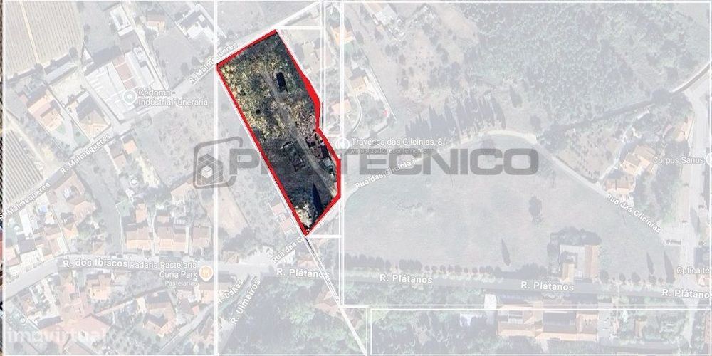Terreno c/ 2 frentes- Curia