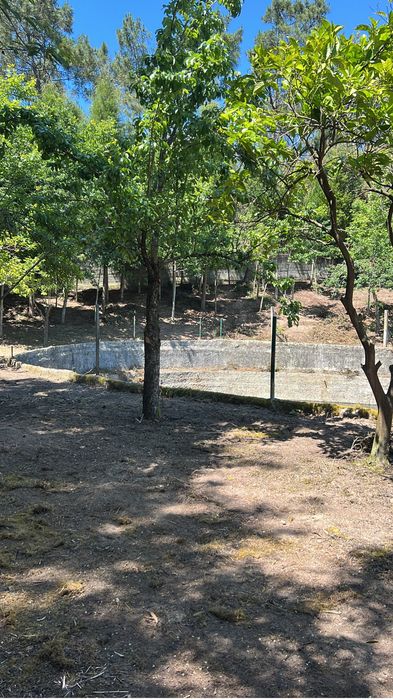 Jardinagem e Limpeza de Terrenos - Aveiro e região