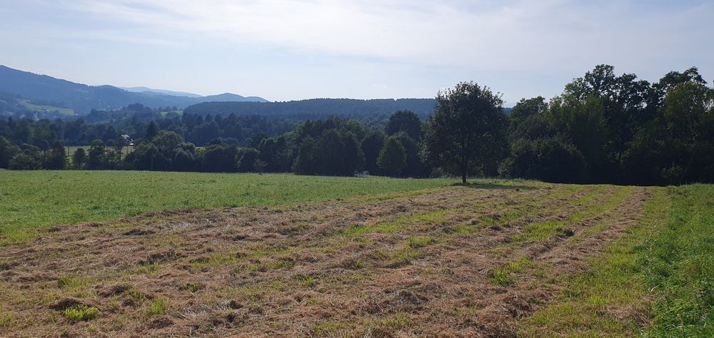 Widokowa działka budowlana w Koconiu z panoramą na Beskidy