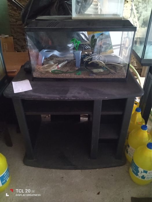 Aquário com várias peças e móvel