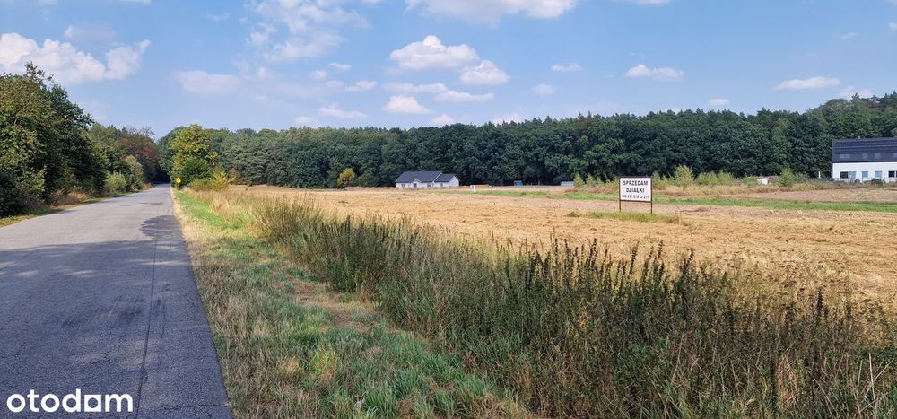Swobnica działka nad jeziorem świetna lokalizacja - Widok 5