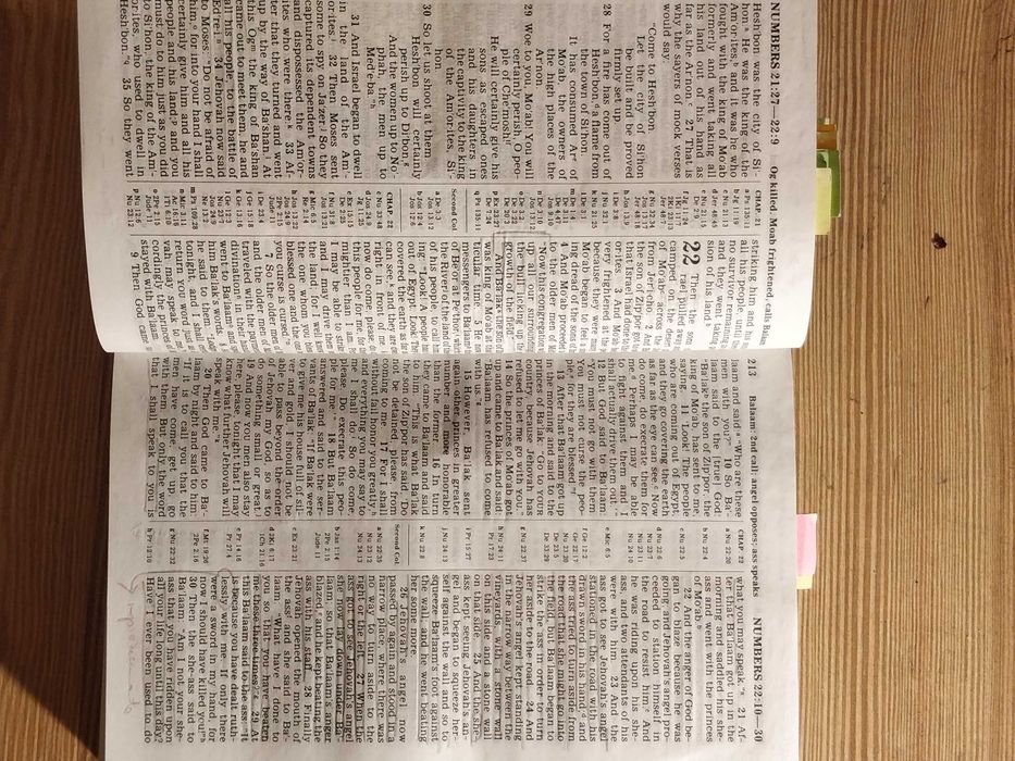 Bíblia Sagrada (Inglês)