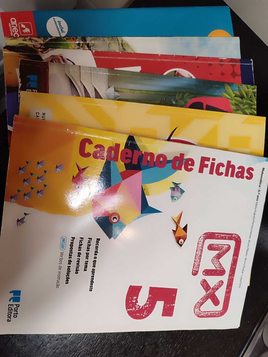 Cadernos de fichas 5 ano