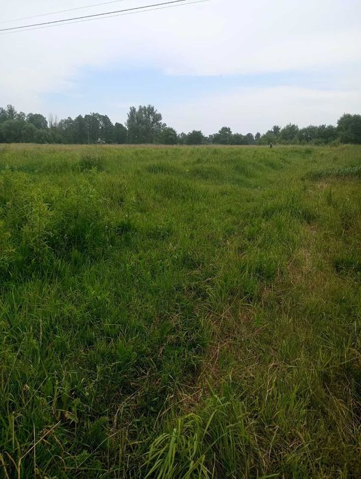 Продам земельну ділянку