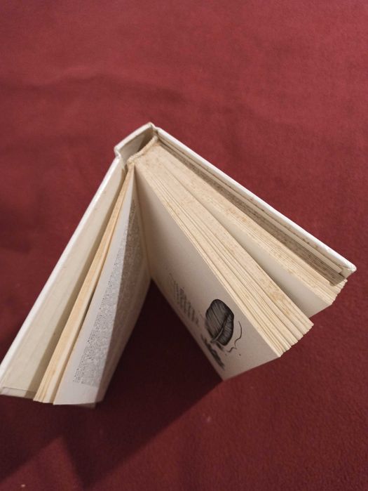 Książka: Ptaki, autor: František Vilček, wydawnictwo: SIT.