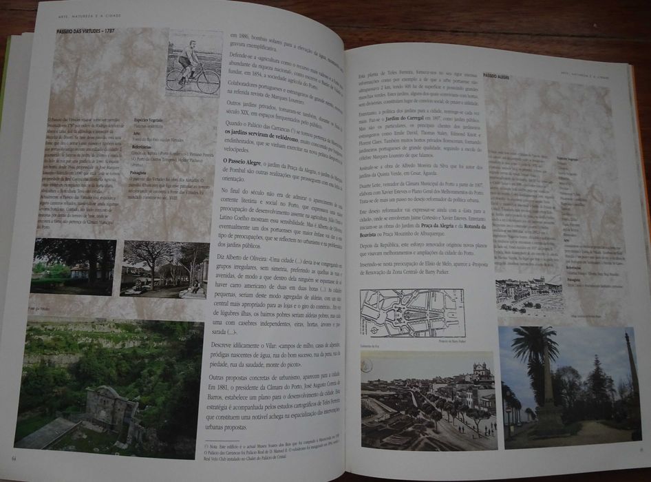 Arte Natureza e A Cidade