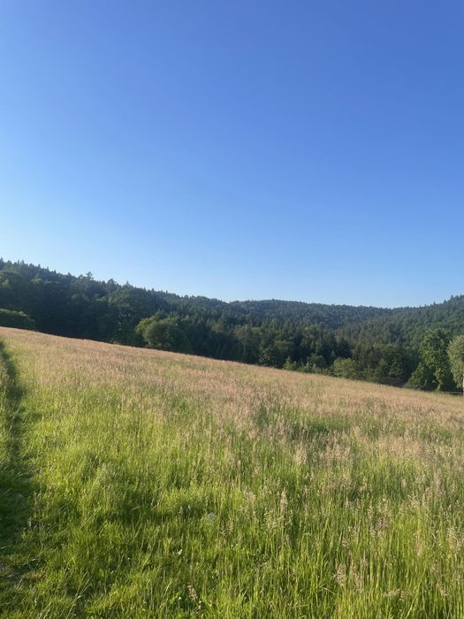 Działki budowlane Trzebunia