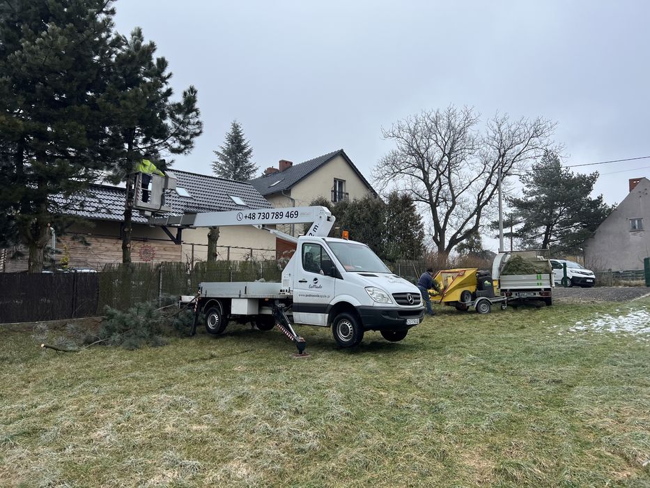 Wycinka drzew, krzaków, podcinanie drzew z podnośnika