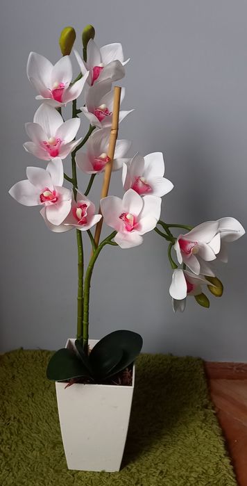 Sztuczny Storczyk w doniczce duży 72cm biały