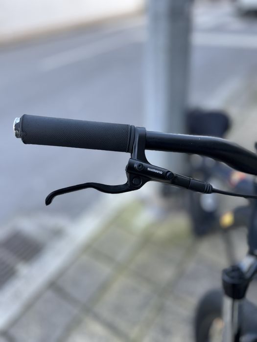 Ns Bikes Zircus 2024 dirt jump