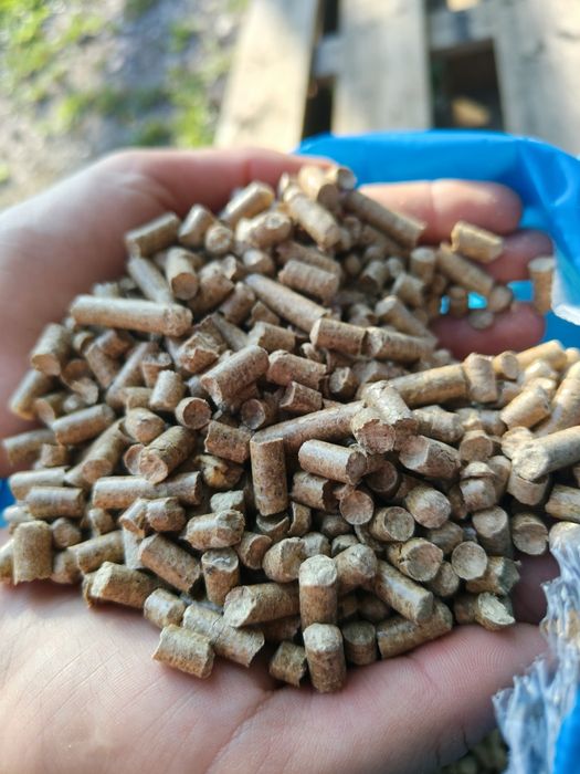 Pellet pelet sosnowy Blauberg