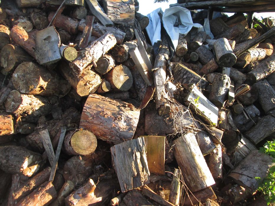 Sprzedam drewno sosnowe suche