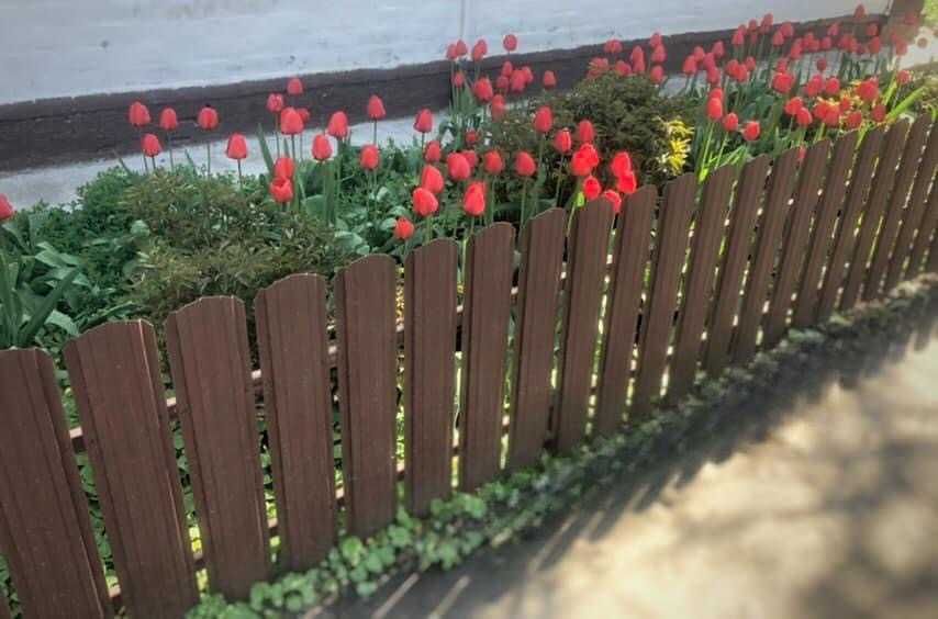 Штахетник Металевий Двухсторонній Євроштахетник