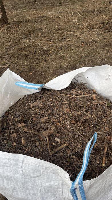 Ściółka leśna / sosnowa w big bagach, podkład pod borówkę