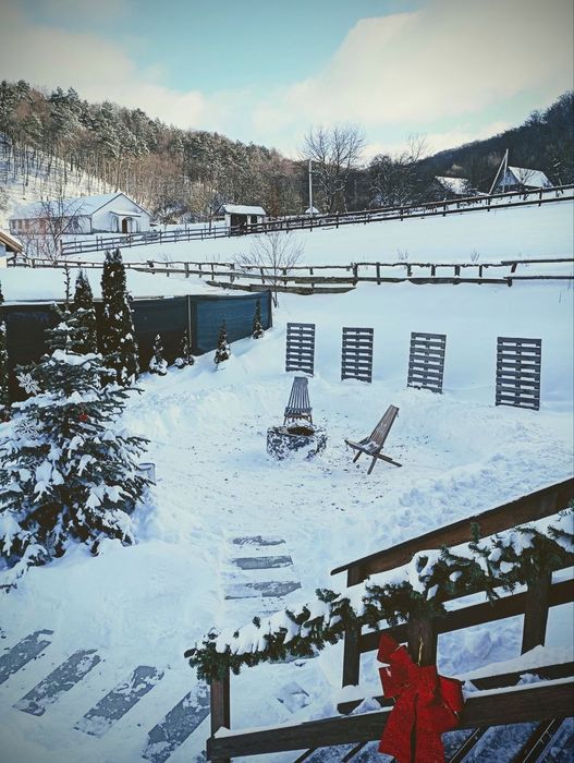 Оренда подобова будинок, апартементи,житло,чан,лижі,Майдан біля Львова