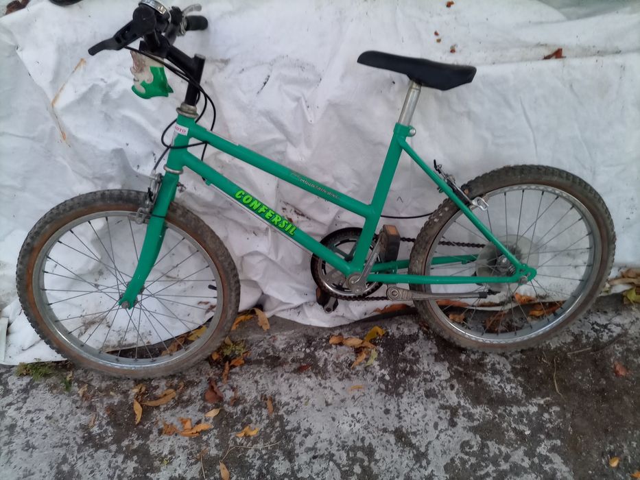 Bicicleta vintage