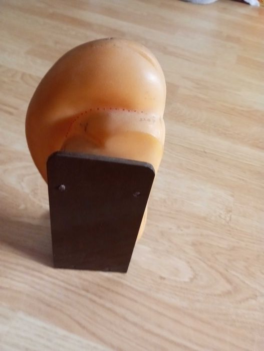MODELO DE ORELHA COM PONTOS DE ACUPUNCTURA COM 22CM