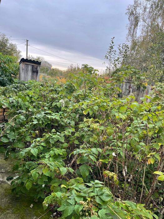 Дача з будиночком (на ветерані)