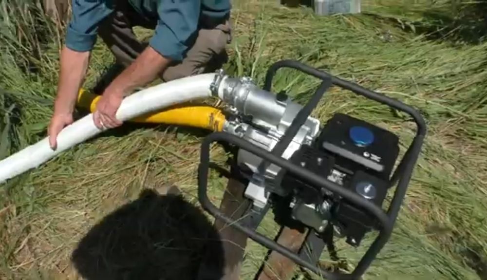 Оренда аренда мотопомп,  откачка воды.