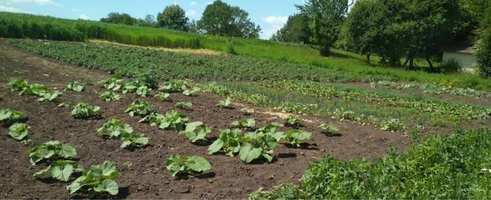 Продам будинок, обміняю на квартиру