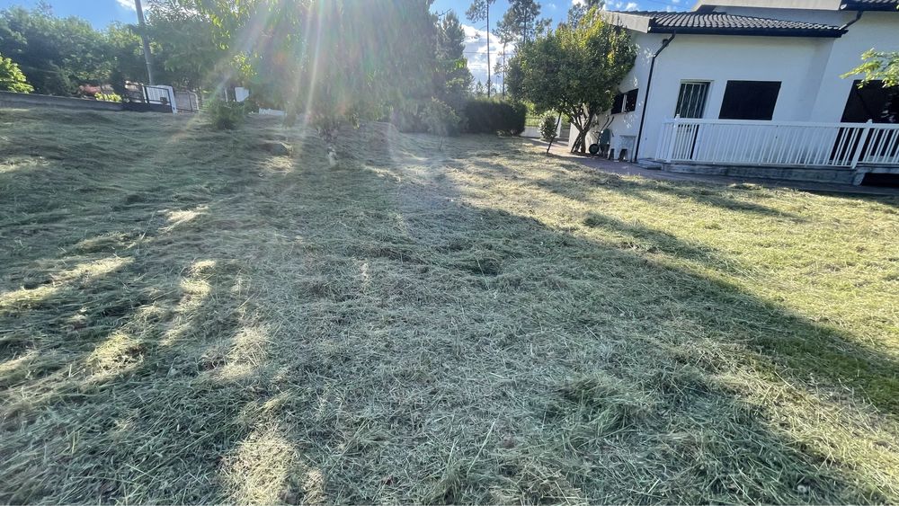 ServiÇo de desmataçao de terrenos agricolas