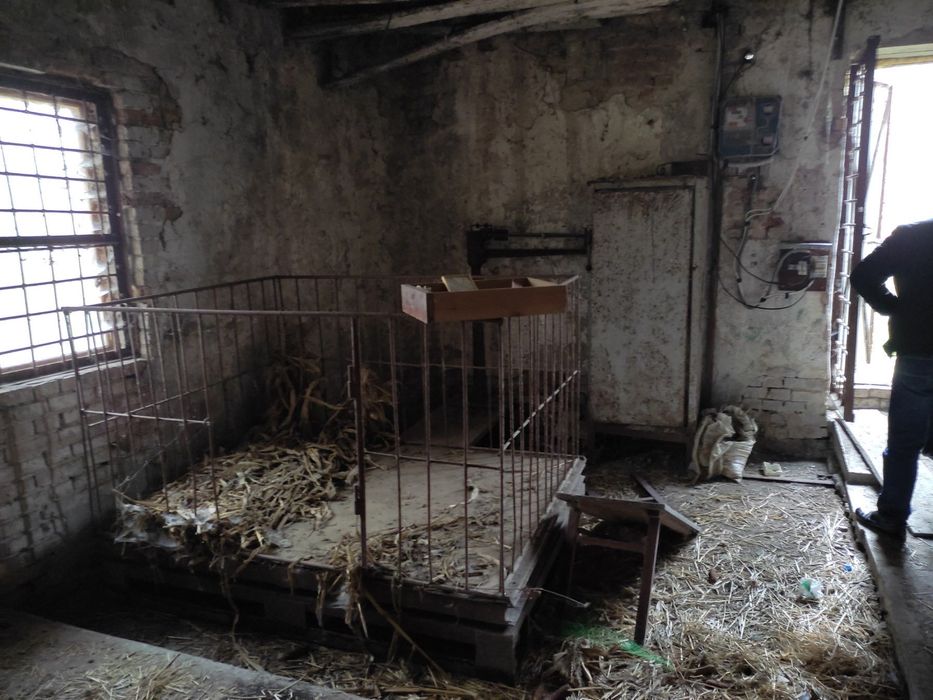 Ферма. Приміщення свинарника, під різні цілі. м. Калуш, Залісся  7а.