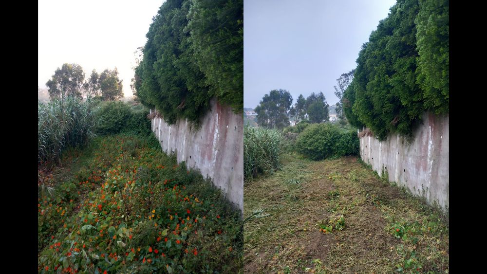 Limpeza de Terrenos