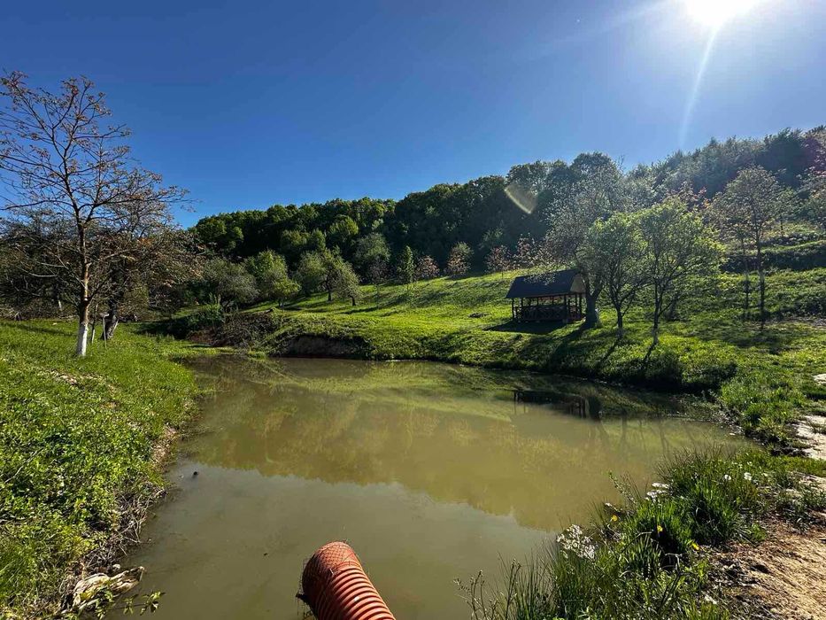 Продається дача в с. Бедевля