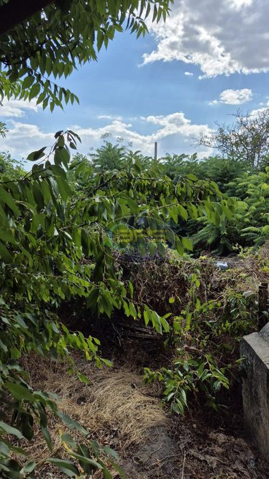 Сухой Лиман, участок 47 соток, в самом центре села,фасад, вид на лиман