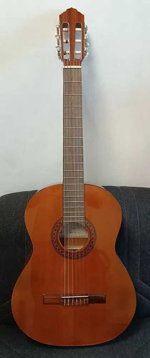 Guitarra Portuguesa APC 1C + Bag almofadado - (Solid Top)- Great Deal