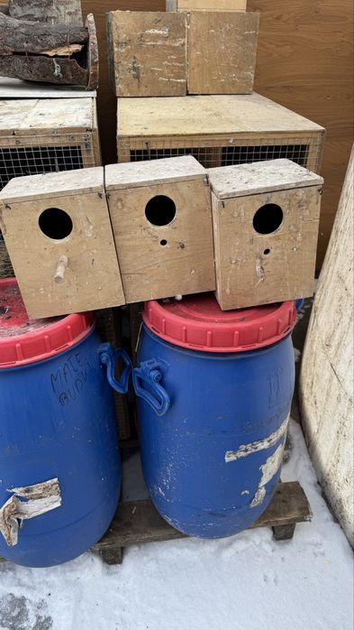 Budki legowe dla papug