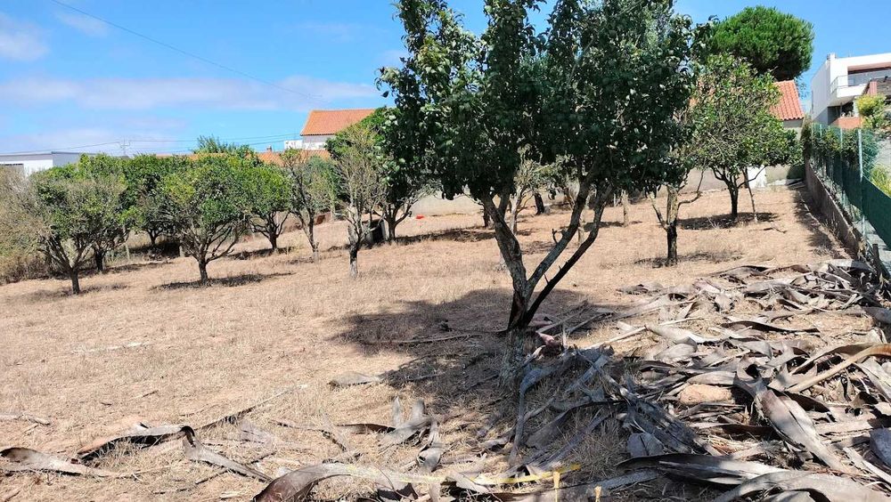 Moradia em Madeira T3  com terreno espaçoso  em Caldas da Rainha