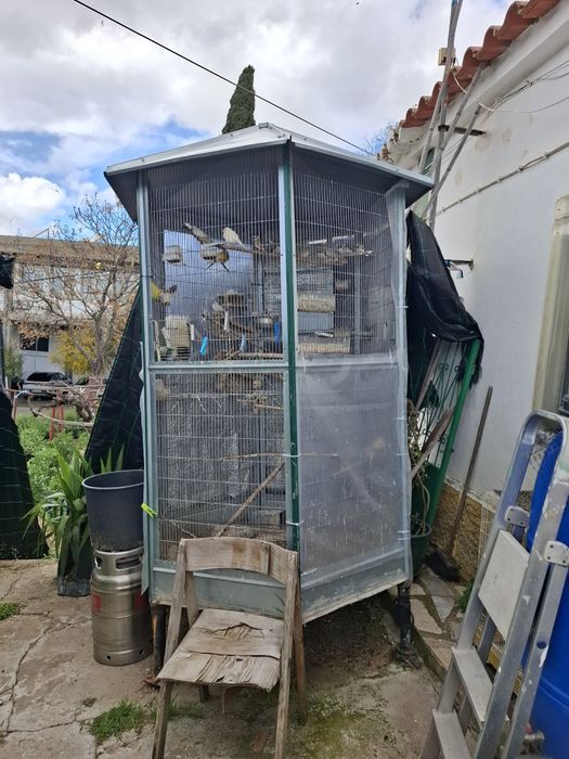 Venda de viveiro pássaros