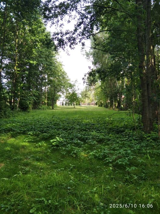 Działka na sprzedaż. Ropczyce - Witkowice ul. Rolnicza, WZ, 20ar.