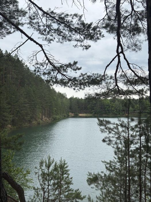 Продам Будинок Новобудову 2023 Є-Відновлення