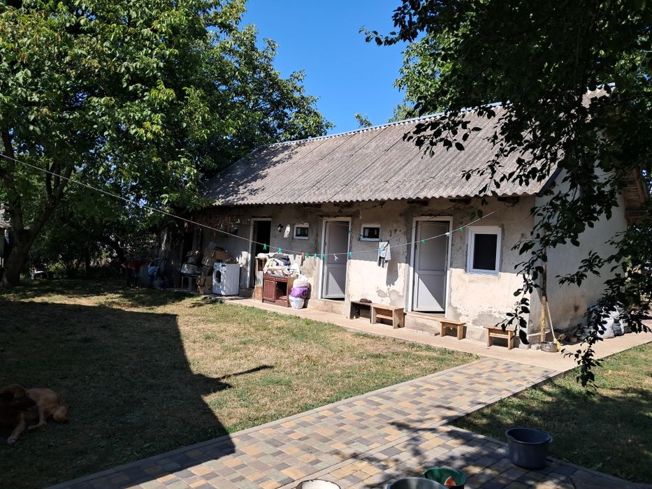 Будинок з землею