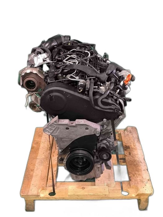 Motor Completo VW CADDY III Veículo multiuso 1.6 TDI (75 kW / 102 cv) [08.2010 - 05.2015] CAY (OEM)