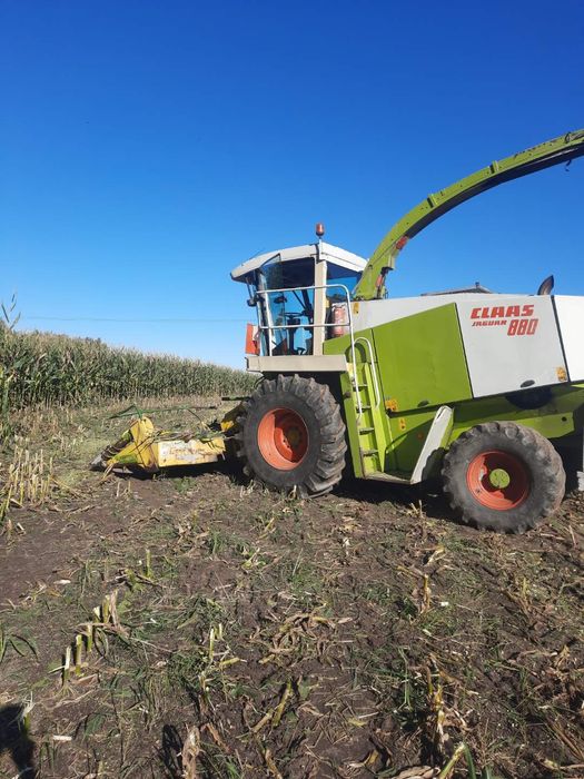 Kemper Champion 4500