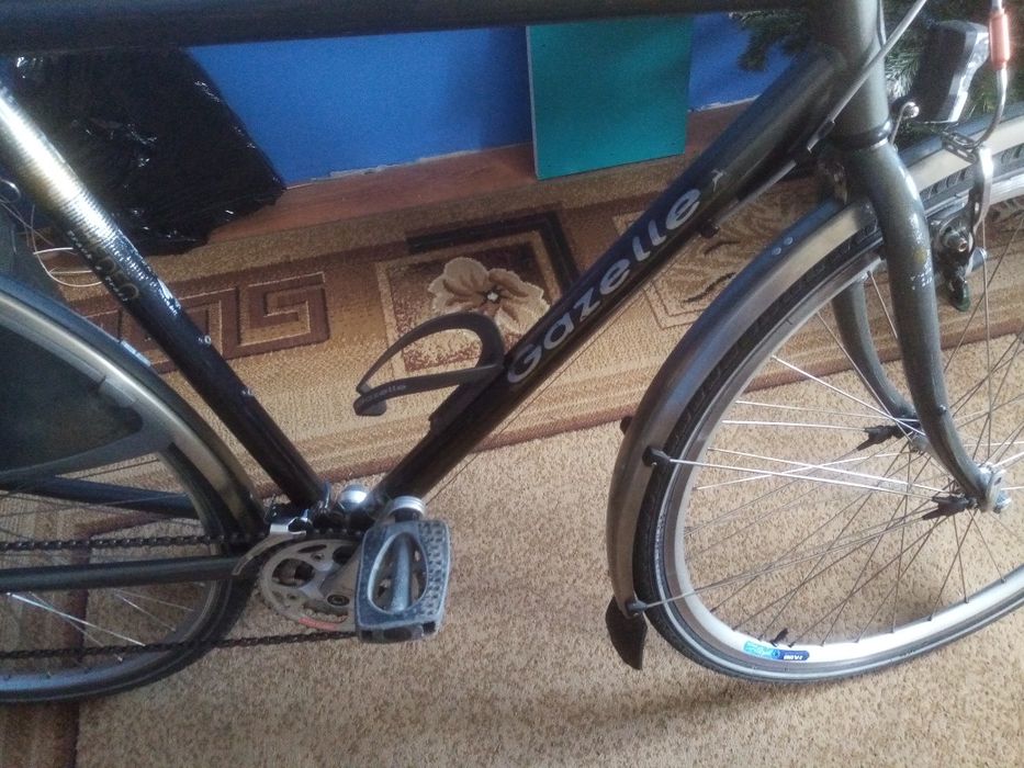 Rower męski gazelle medeo