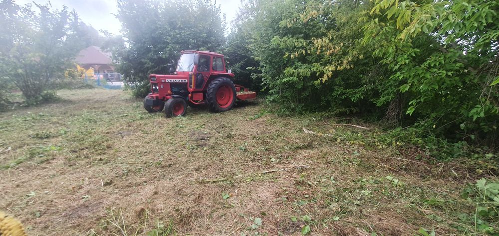 Wycinka Drzew Usuwanie Karp Podnośnik