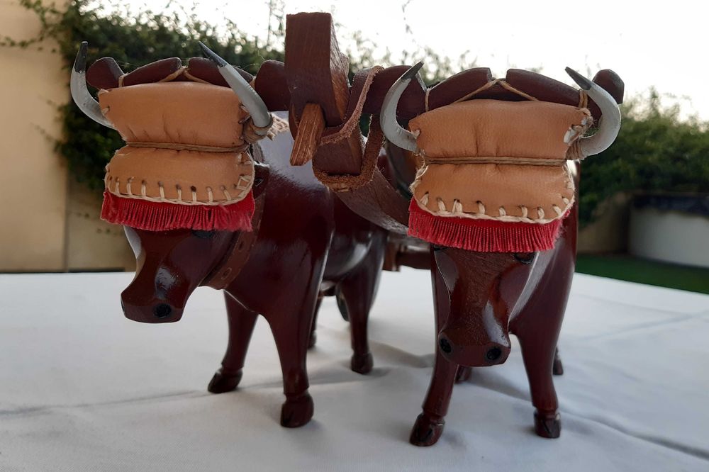 Conjunto de bois feito à mão em madeira - Artesanato