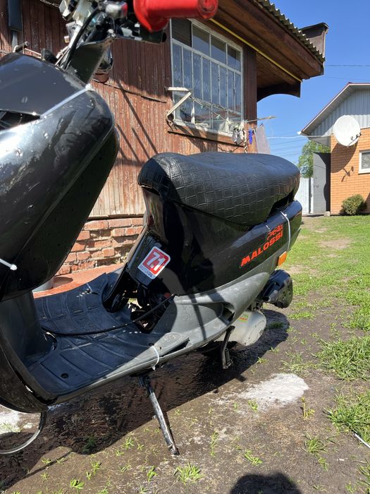 Piaggio zip скутер ( не bws, aerox, slider)