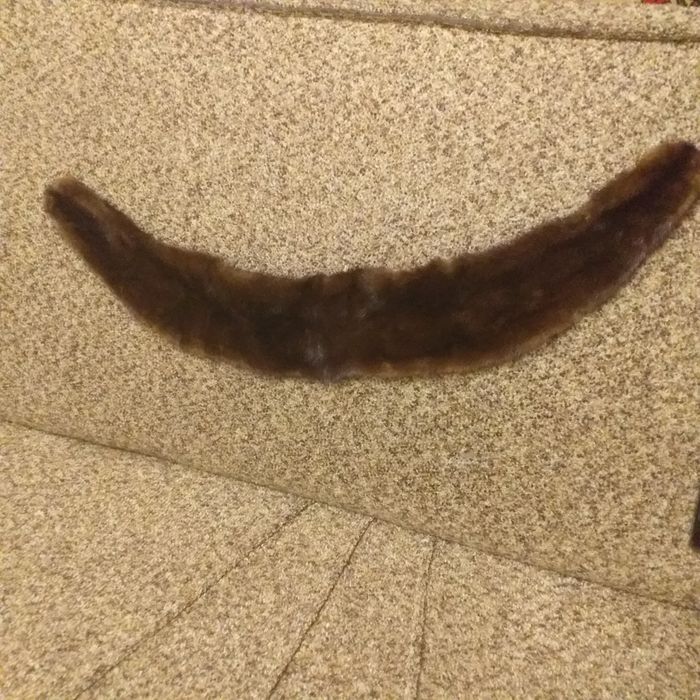 Норка воротник