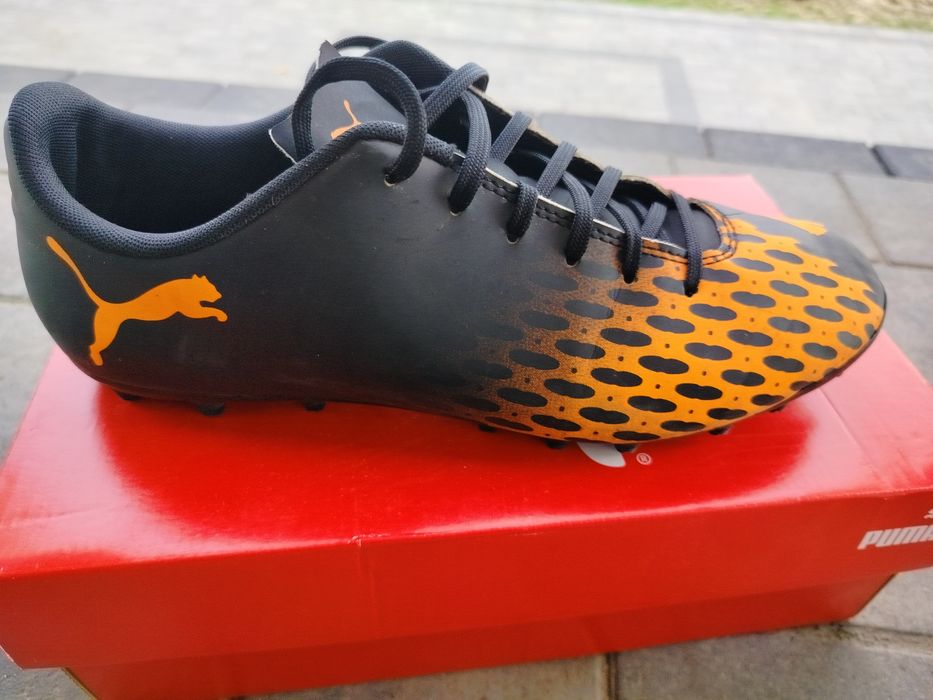 Korkowce oryginalne Pumy