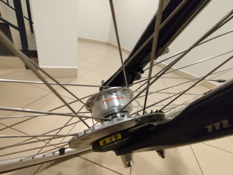 Rower męski Holenderski Gazelle Chamonix 57