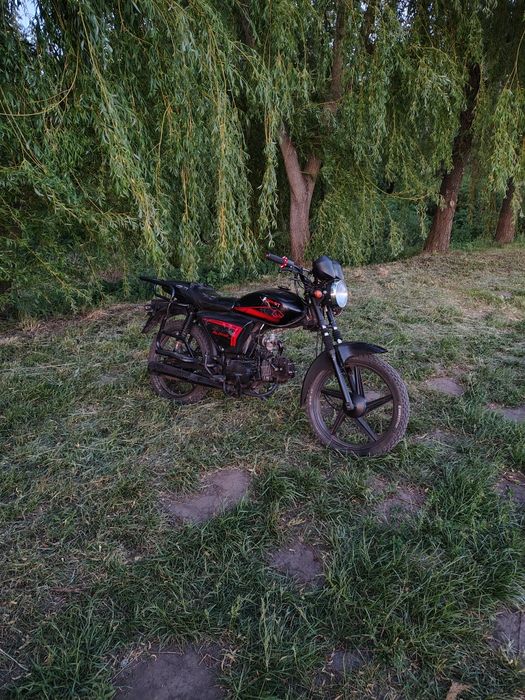 Альфа хорнет 125