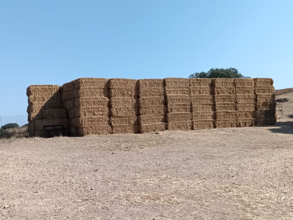 Vende-se Palha e Feno