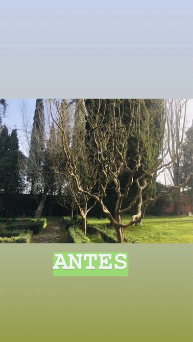 Realizo serviços Jardinagem